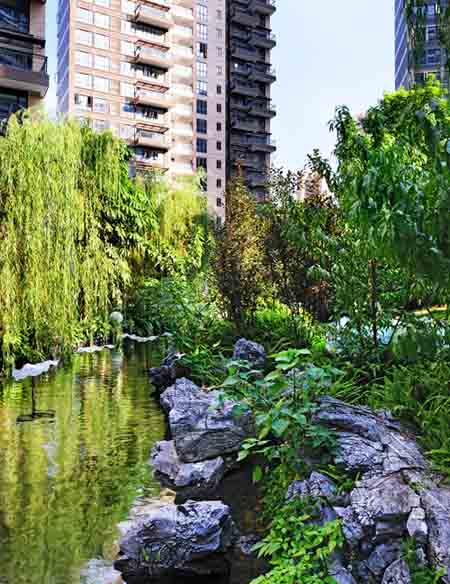 深圳太古城花園外局部實(shí)景圖