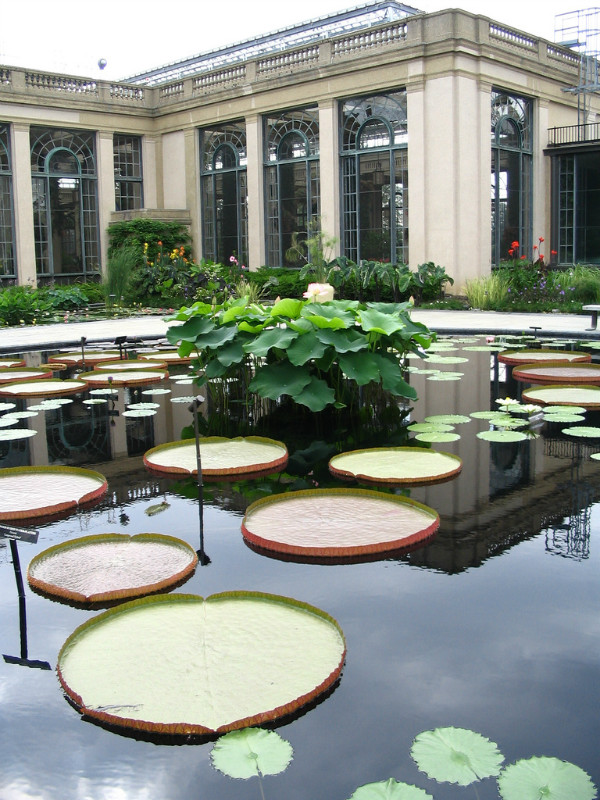 美國(guó)最美的私家花園——長(zhǎng)木花園