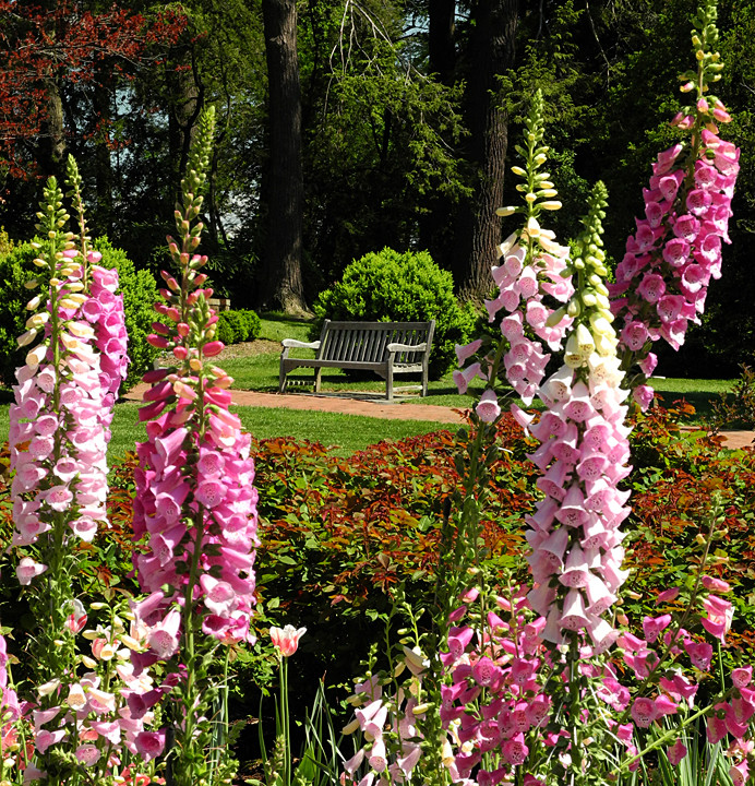 美國(guó)最美的私家花園——長(zhǎng)木花園