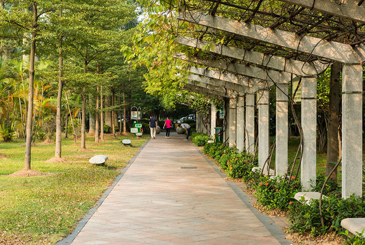 【庭院元素】花園廊架——春開花顏，夏落涼蔭