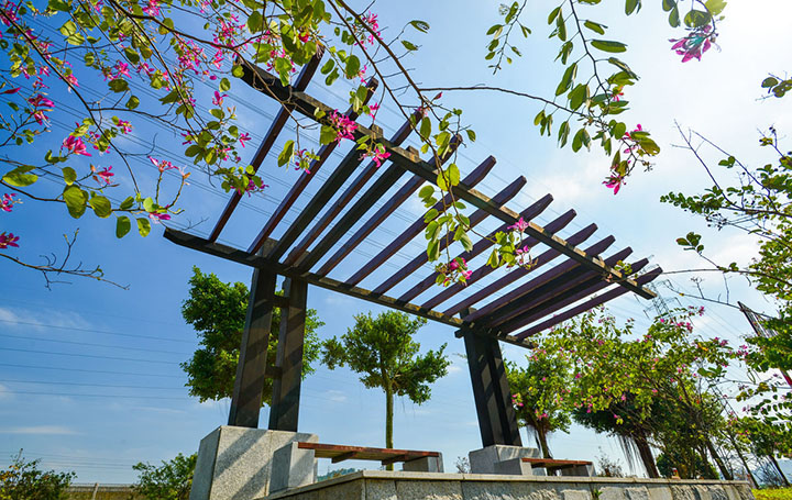 【庭院元素】花園廊架——春開花顏，夏落涼蔭