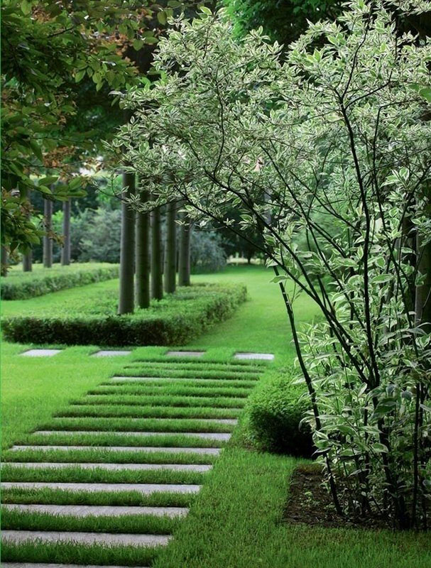 花園小徑，帶你探索花園里的一步一景