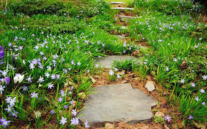 花園小徑，帶你探索花園里的一步一景