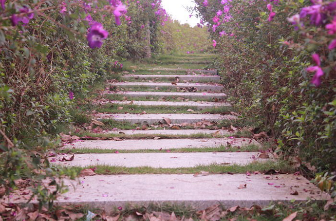 花園小徑，帶你探索花園里的一步一景