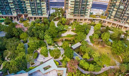 深圳博林天瑞住宅景觀