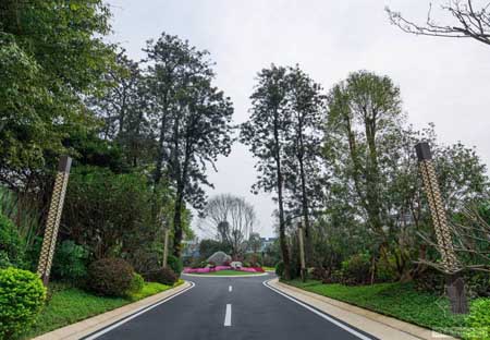 廣州天河金茂府住宅景觀