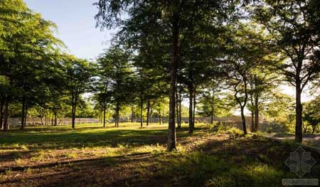 阿根廷GS住宅