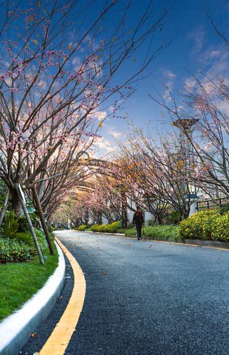 貴陽(yáng)保利鳳凰灣住宅景觀