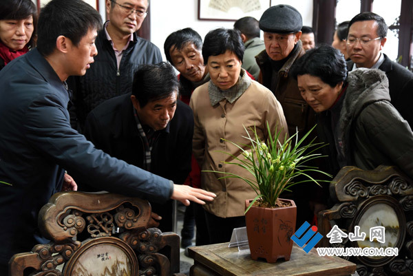 “幽香北固”鎮(zhèn)江市首屆春蘭展正式開幕