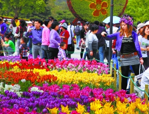 北京植物園“五一”迎來(lái)5萬(wàn)賞花人