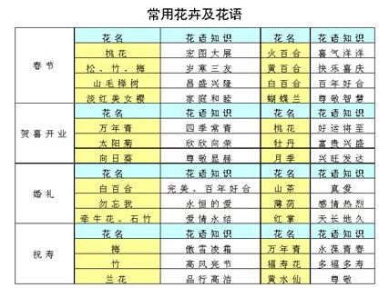 春節(jié)送禮新鮮而又有創(chuàng)意（圖）